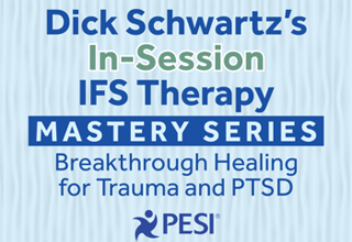 Schwartz IFS 350 X 250