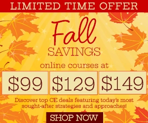 2025 Fall Savings CE Sale Web Ads Bucket 300 X 250