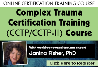 001292 Janina Fisher CCTP I And II EN 300 X 250