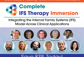 001403 IFS Immersion NEW TITLE 555 X 416